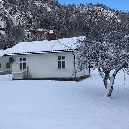 Cozy, Small House In The Heart Of Telemark Vakantiehuis